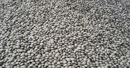 礦粉球團(tuán)粘合劑