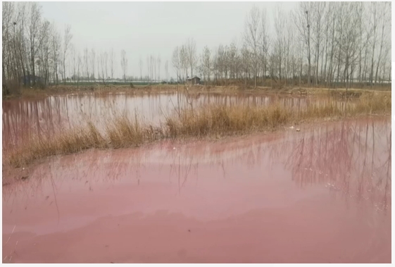 印染污水泄露河道水體修復(fù)